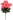 Kwiaty bukiet piwoni 58cm mix Home And Garden (5404)