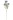 Kwiaty Lucerna 72 cm Home And Garden (1555)