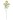Kwiaty Lucerna 72 cm Home And Garden (1555)