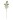 Kwiaty Lucerna 72 cm Home And Garden (1555)