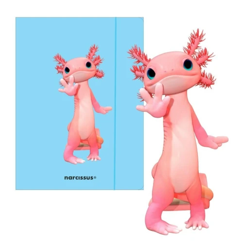 Teczka kartonowa na gumkę Teddies& Aksolotl A4 niebieski 270g Narcissus