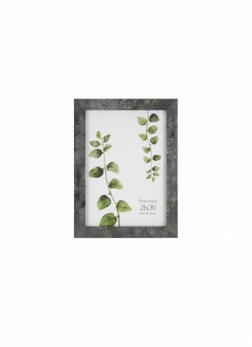 Ramka Yellowstone AA [mm:] 210x300 Styler