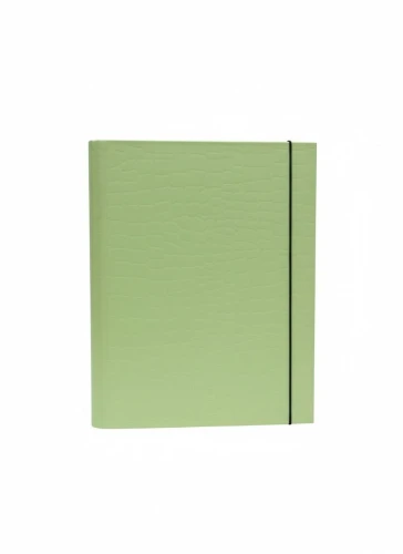 Teczka kartonowa na gumkę PasteLove z gumką B4 limonka VauPe (P/310/31)