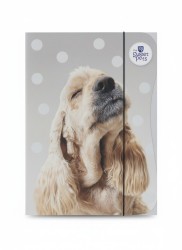 Teczka kartonowa na gumkę A4 mix Beniamin