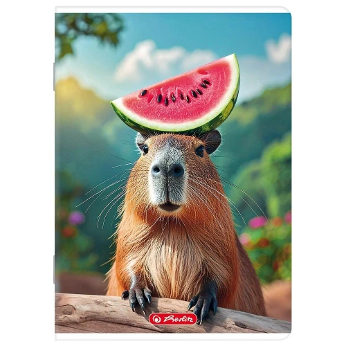 Zeszyt mix A5 32k. 70g linia podwójna kolorowa Herlitz (400206339)