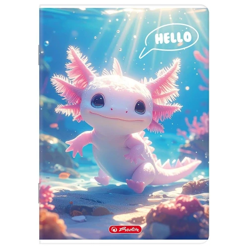 Zeszyt mix A4 32k. 70g linia podwójna kolorowa Herlitz (400206361)