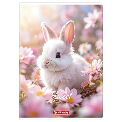 Zeszyt mix A5 16k. 70g linia podwójna kolorowa Herlitz (400206335)