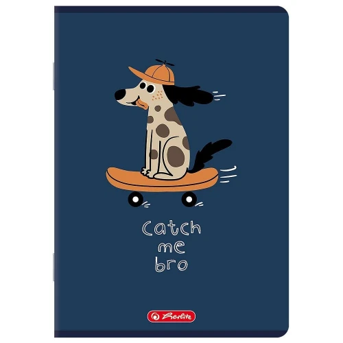 Zeszyt mix A5 16k. 70g linia podwójna kolorowa Herlitz (400206335)