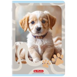 Zeszyt ANIMALS A4 32k. 70g linia podwójna kolorowa Herlitz (400206431)