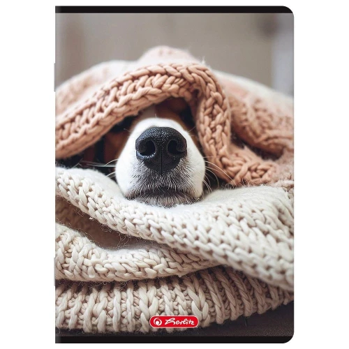 Zeszyt mix A5 80k. 70g linia Herlitz (400206358)