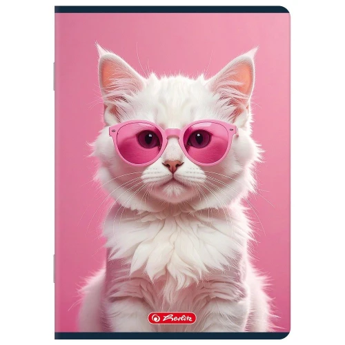 Zeszyt mix 2 A5 60k. 70g czysty Herlitz (400206345)