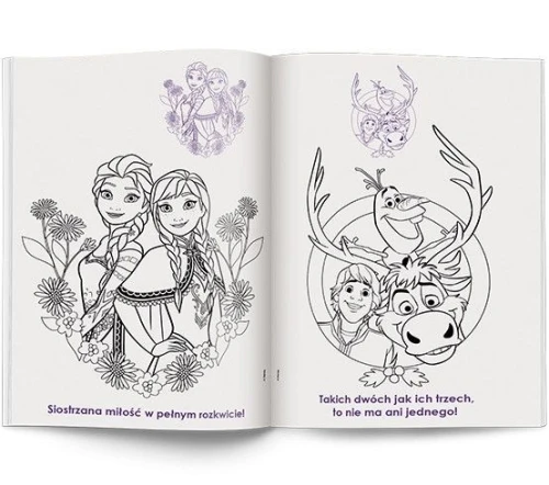 Książka dla dzieci Kraina Lodu Ameet (NA 9143)