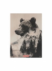 Zeszyt wild A4 80k. 70g kratka Herlitz (400206433)