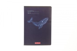 Zeszyt A5 mix 3 60k. 70g kratka Herlitz (400206346)