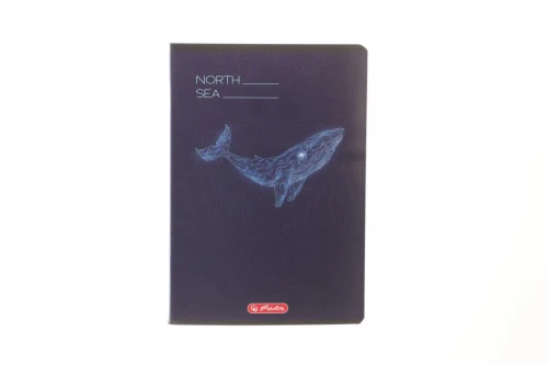 Zeszyt A5 mix 3 60k. 70g kratka Herlitz (400206346)