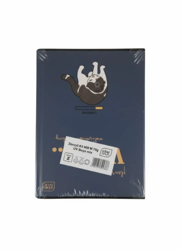 Zeszyt A5 BOYS  mix 60k. 70g krata Interdruk