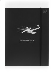 Teczka kartonowa METALIC SPORT Interdruk (A4+)
