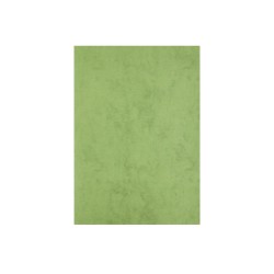 Papier ozdobny (wizytówkowy) A4 CORINTHIAN GREEN kolor biały Beniamin (5176)