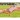 Plecak Flower Field Head (502026042)