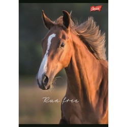 Zeszyt A5 Wild Heart 60k. 70g krata Unipap