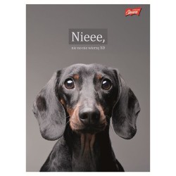 Zeszyt A4 Doggy Moods 60k. 70g krata Unipap