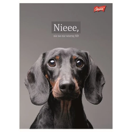 Zeszyt A4 Doggy Moods 60k. 70g krata Unipap