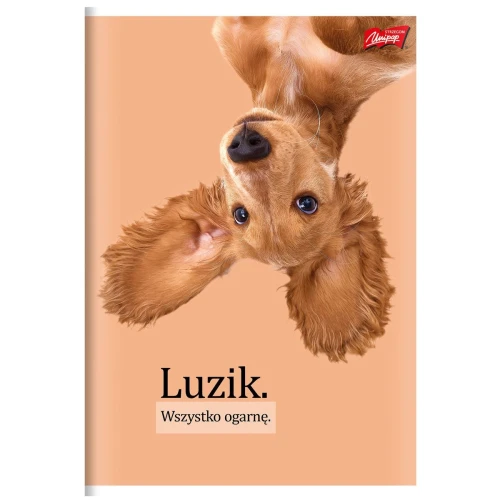 Zeszyt A4 Doggy Moods 60k. 70g krata Unipap