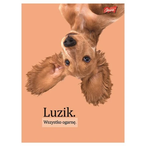 Zeszyt A4 Doggy Moods 60k. 70g krata Unipap