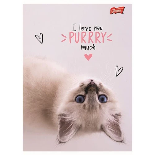 Zeszyt A5 PURRFECT MOMENTS 60k. 70g krata Unipap