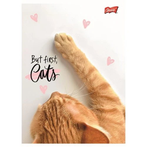 Zeszyt A5 PURRFECT MOMENTS 60k. 70g krata Unipap
