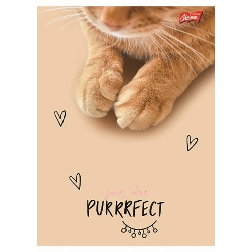 Zeszyt A5 PURRFECT MOMENTS 60k. 70g krata Unipap