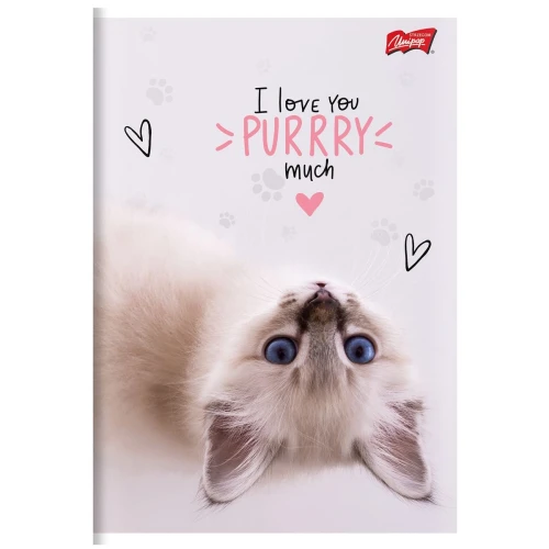 Zeszyt A5 PURRFECT MOMENTS 60k. 70g krata Unipap
