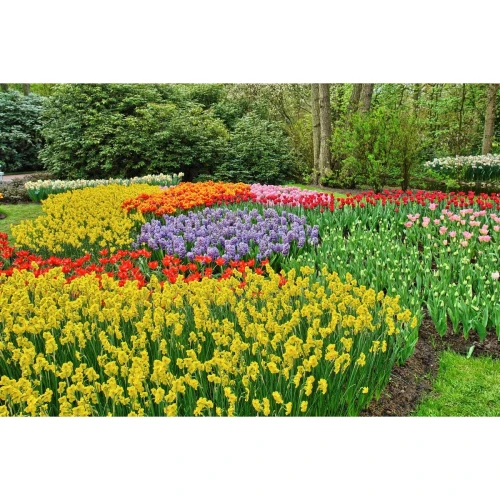 Kalendarz ścienny wieloplanszowe - rodzinny 280mm x 200mm Beskidy (KR)