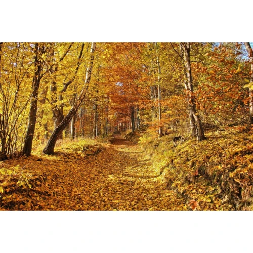 Kalendarz ścienny wieloplanszowe - rodzinny 280mm x 200mm Beskidy (KR)