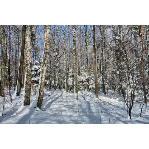 Kalendarz ścienny wieloplanszowe - rodzinny 280mm x 200mm Beskidy (KR)