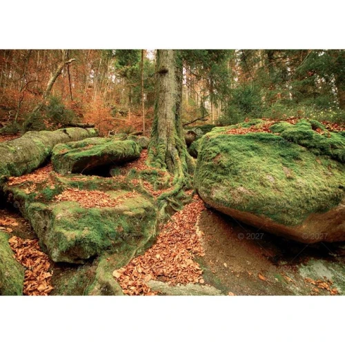 Kalendarz ścienny RODZINNY Pejzaże Polski 13-KARTKOWY 280mm x 200mm Lucrum (WL3)
