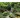 Kalendarz ścienny LASY POLSKIE 13-planszowe A3+ 320mm x 470mm Lucrum (RW06)