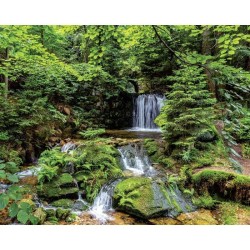 Kalendarz ścienny LASY POLSKIE 13-planszowe A3+ 320mm x 470mm Lucrum (RW06)
