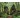 Kalendarz ścienny LASY POLSKIE 13-planszowe A3+ 320mm x 470mm Lucrum (RW06)