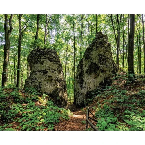 Kalendarz ścienny LASY POLSKIE 13-planszowe A3+ 320mm x 470mm Lucrum (RW06)