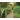 Kalendarz ścienny LASY POLSKIE 13-planszowe A3+ 320mm x 470mm Lucrum (RW06)