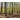 Kalendarz ścienny LASY POLSKIE 13-planszowe A3+ 320mm x 470mm Lucrum (RW06)