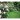 Kalendarz ścienny OGRODY RAJSKIE 13-planszowe 320mm x 470mm Lucrum (RW12)