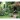 Kalendarz ścienny OGRODY RAJSKIE 13-planszowe 320mm x 470mm Lucrum (RW12)