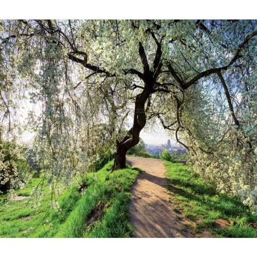 Kalendarz ścienny MAGICZNA POLSKA 13-planszowe 320mm x 470mm Lucrum (RW02)