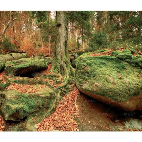 Kalendarz ścienny MAGICZNA POLSKA 13-planszowe 320mm x 470mm Lucrum (RW02)