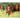 Kalendarz ścienny KONIE WOBIEKTYWIE 13-planszowe 320mm x 470mm Lucrum (RW14)