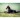 Kalendarz ścienny PSY I PIESKI 13-planszowe 320mm x 470mm Lucrum (RW8)