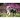 Kalendarz ścienny PSY I PIESKI 13-planszowe 320mm x 470mm Lucrum (RW8)