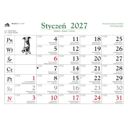 Kalendarz ścienny PSY I PIESKI 13-planszowe 320mm x 470mm Lucrum (RW8)